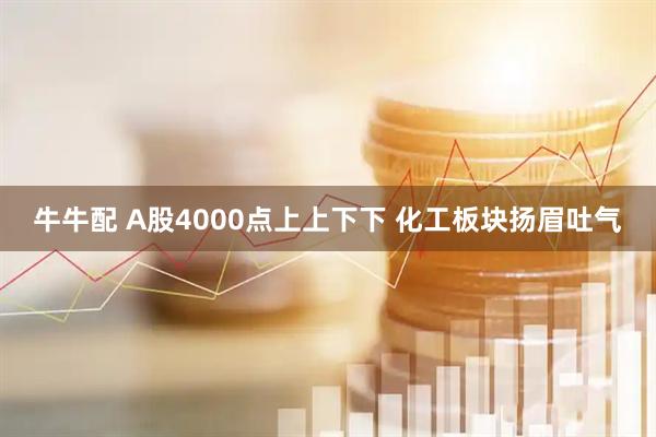 牛牛配 A股4000点上上下下 化工板块扬眉吐气