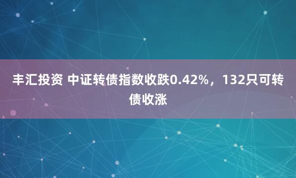 丰汇投资 中证转债指数收跌0.42%，132只可转债收涨